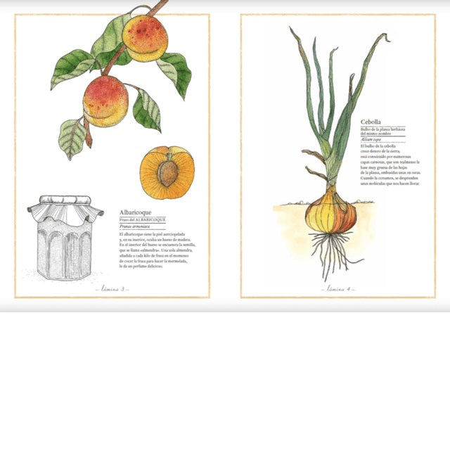 Inventario Ilustrado de los Frutas y Verduras Inventario Ilustrado de los Frutas y Verduras